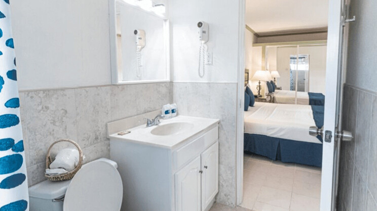 Deluxe One Bedroom Suite